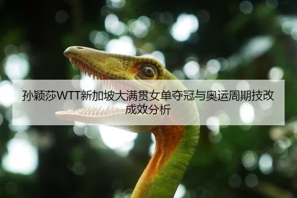孙颖莎WTT新加坡大满贯女单夺冠与奥运周期技改成效分析